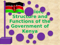 Formation, Structure and Functions of the Government.pptx